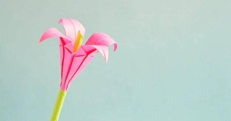 Pexels/Miguel Á. Padriñán